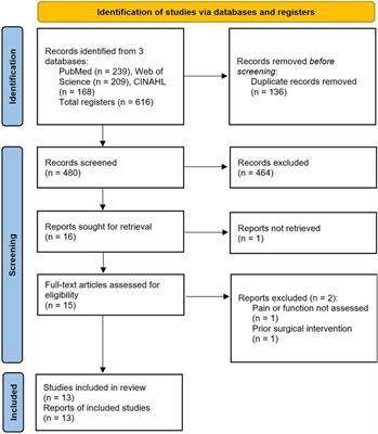 Effects of conservative treatment strategies for iliotibial band syndrome on pain and function in runners: a systematic review